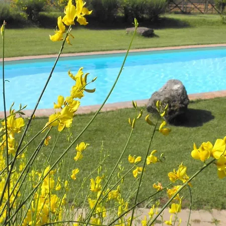 Pietra Viva, Wifi, Near Perugia *